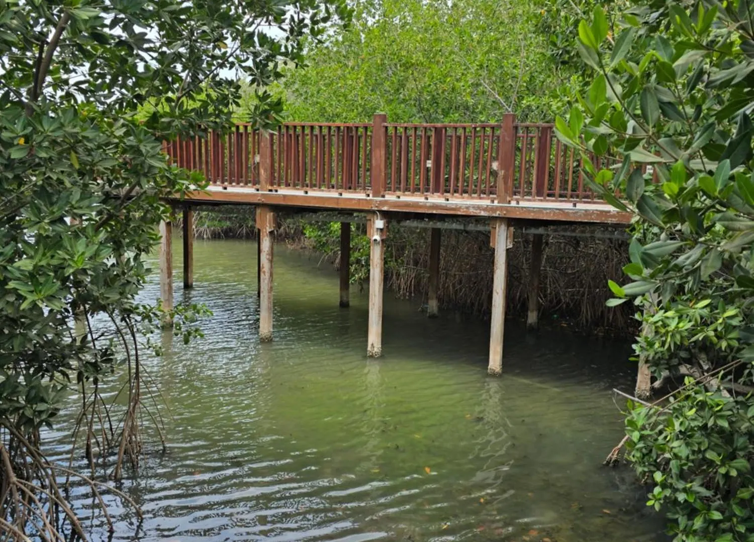 Hotel Los Veleros Santa Marta Santa Marta (Magdalena)