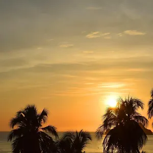 Apartamento - Palanoa